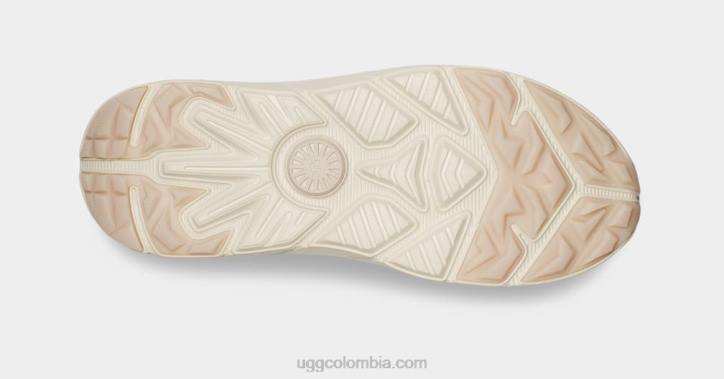 nubuck ca805 v2 limo todos los géneros UGG 4VBT2047