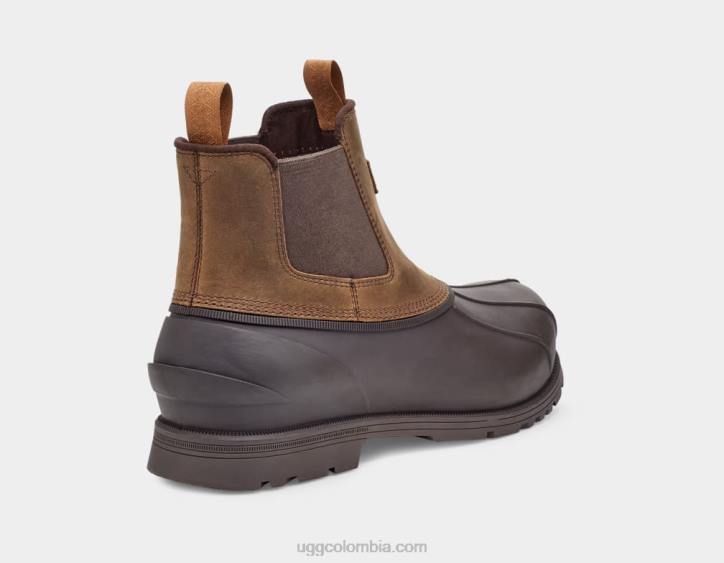 gatson chelsea castaña hombres UGG 4VBT1520