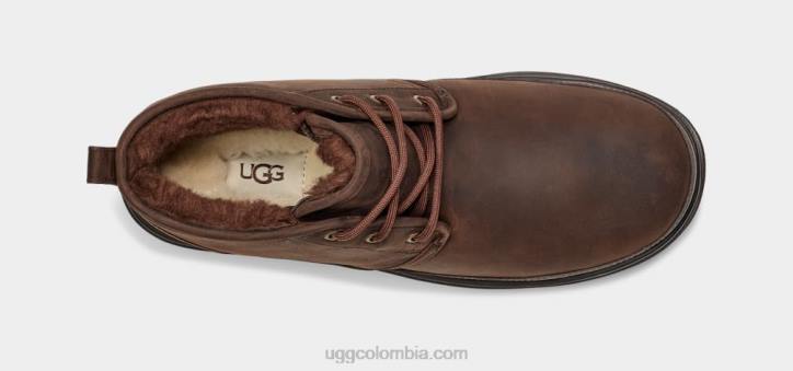 neumel tiempo ii oso pardo hombres UGG 4VBT1528
