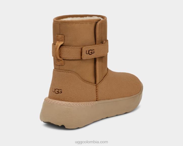 clásico castaña hombres UGG 4VBT1483