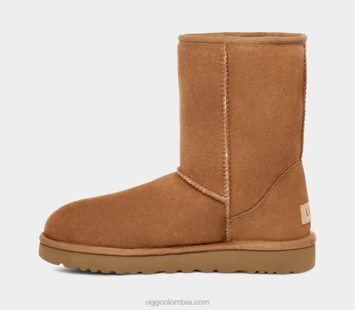 corto clásico castaña hombres UGG 4VBT1515