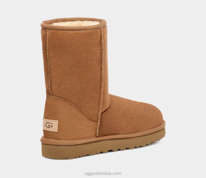 corto clásico castaña hombres UGG 4VBT1515
