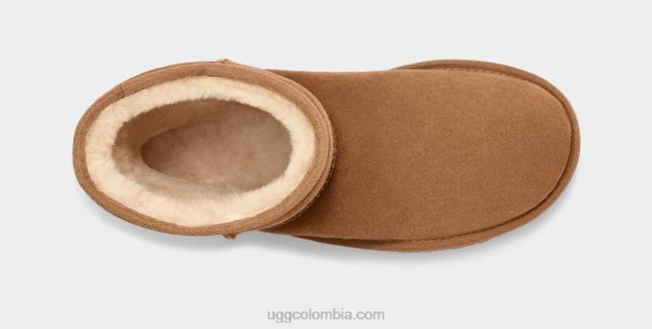 corto clásico castaña hombres UGG 4VBT1515