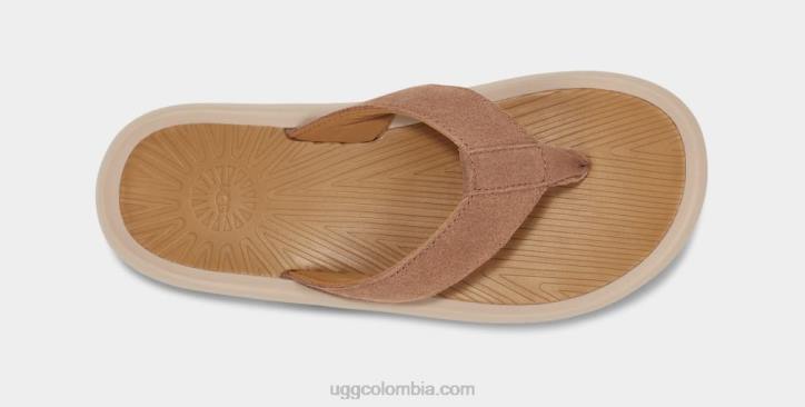 brookside ii flip ante castaña hombres UGG 4VBT1568