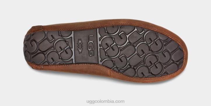 Olsen broncearse hombres UGG 4VBT203