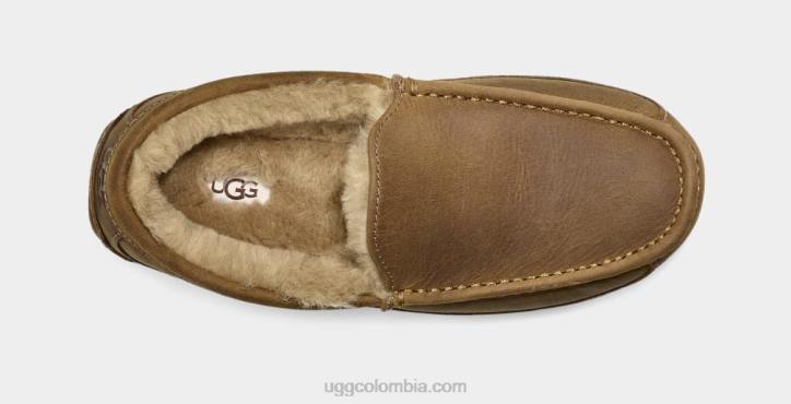ascot de cuero mate broncearse hombres UGG 4VBT1504