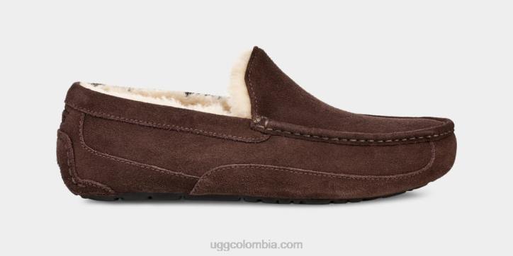 zapatilla ascot Café exprés hombres UGG 4VBT1652