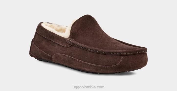 zapatilla ascot Café exprés hombres UGG 4VBT1652