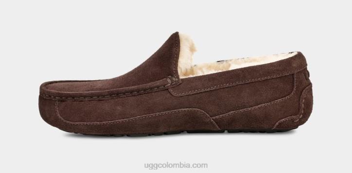 zapatilla ascot Café exprés hombres UGG 4VBT1652