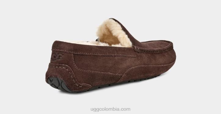 zapatilla ascot Café exprés hombres UGG 4VBT1652