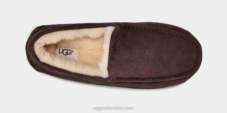 zapatilla ascot Café exprés hombres UGG 4VBT1652