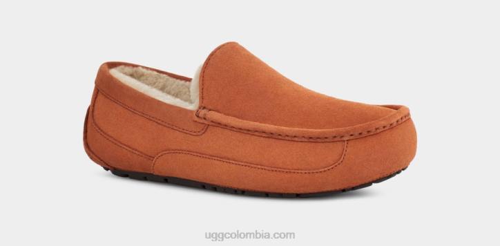 zapatilla ascot Tablas de madera hombres UGG 4VBT1651