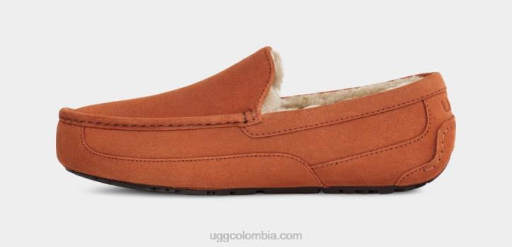 zapatilla ascot Tablas de madera hombres UGG 4VBT1651