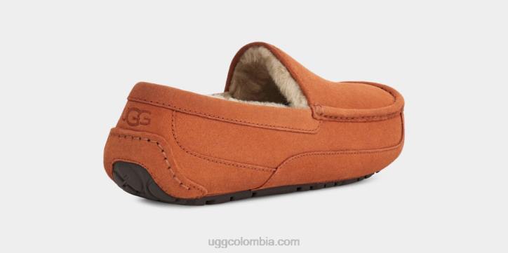 zapatilla ascot Tablas de madera hombres UGG 4VBT1651
