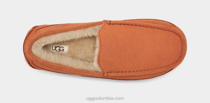 zapatilla ascot Tablas de madera hombres UGG 4VBT1651