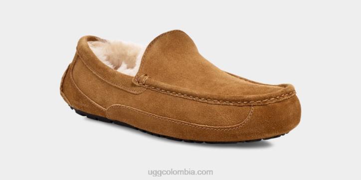 zapatilla ascot castaña hombres UGG 4VBT1421