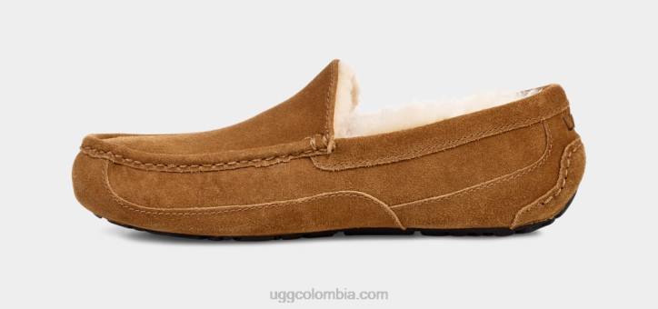 zapatilla ascot castaña hombres UGG 4VBT1421
