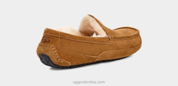 zapatilla ascot castaña hombres UGG 4VBT1421