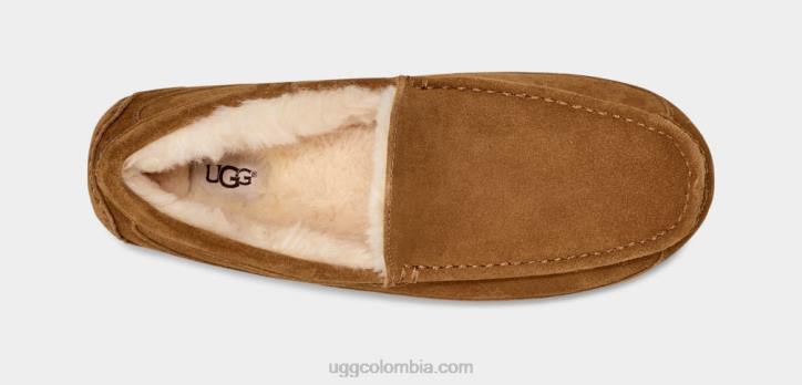 zapatilla ascot castaña hombres UGG 4VBT1421