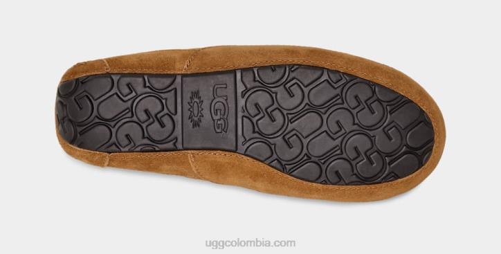 zapatilla ascot castaña hombres UGG 4VBT1421