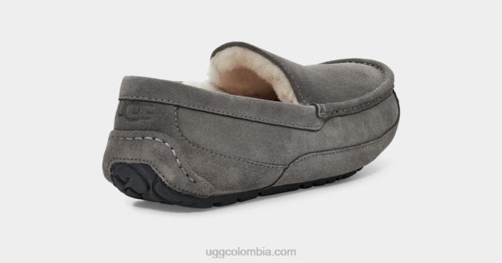 zapatilla ascot gris hombres UGG 4VBT1425