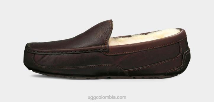 zapatilla de cuero ascot té chino hombres UGG 4VBT212