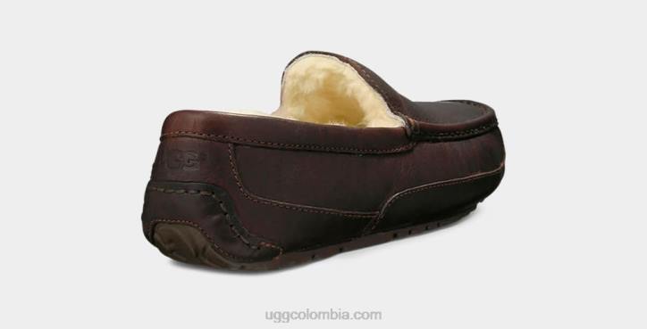 zapatilla de cuero ascot té chino hombres UGG 4VBT212