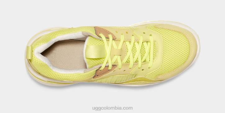 ca805 x malla baja polen/blanco hombres UGG 4VBT1646