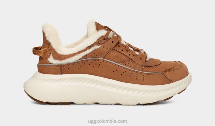 patrimonio ca805 v2 castaña hombres UGG 4VBT1474