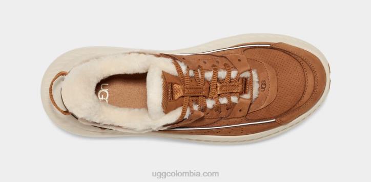 patrimonio ca805 v2 castaña hombres UGG 4VBT1474