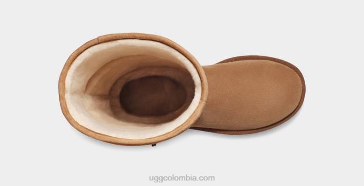 clásico ultra alto castaña mujer UGG 4VBT756