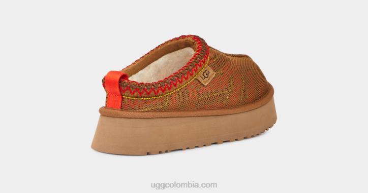 tazz maxi tasman castaña mujer UGG 4VBT689